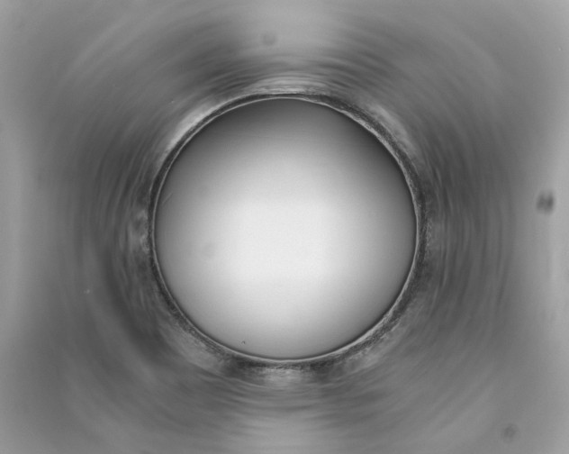 X0000090741465200708101651