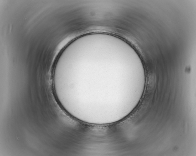 X0000090741466200708101651