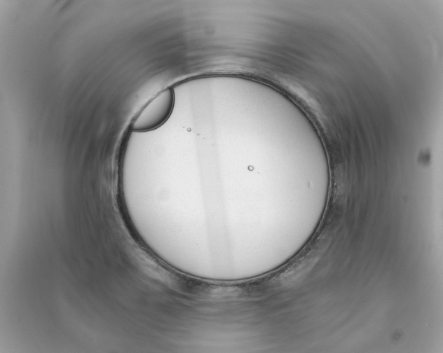 X0000090741467200708101651