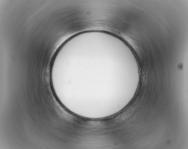 X0000090741468200708101651