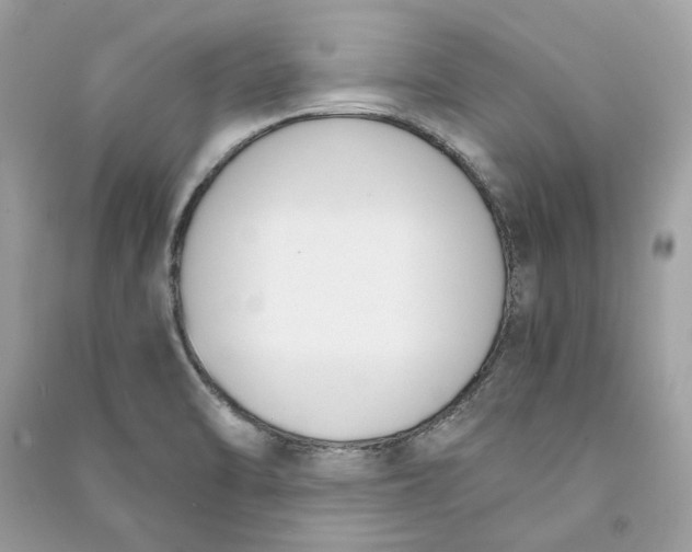 X0000090741470200708101651