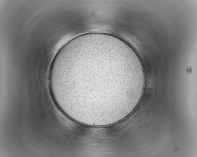 X0000090741471200708101651