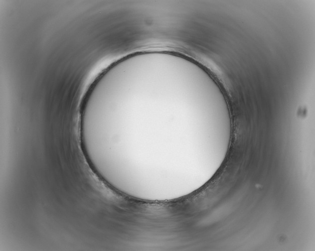 X0000090741472200708101651