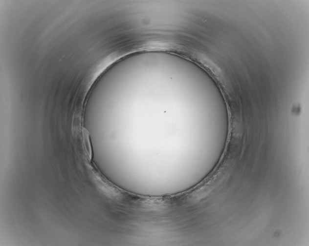 X0000090741473200708101651