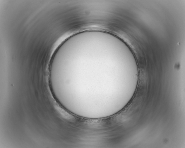 X0000090741474200708101651