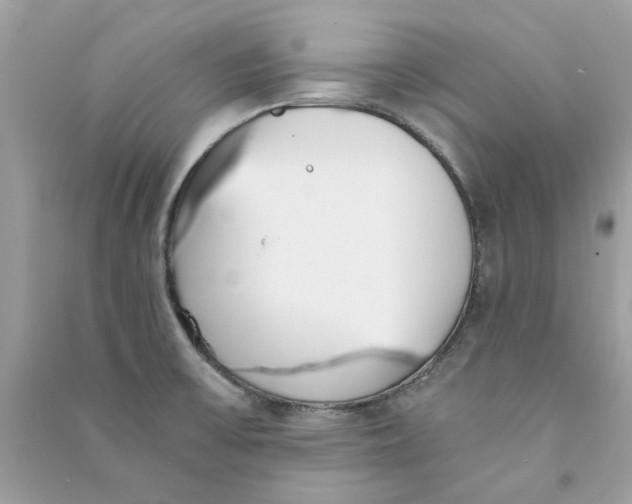 X0000090741475200708101651