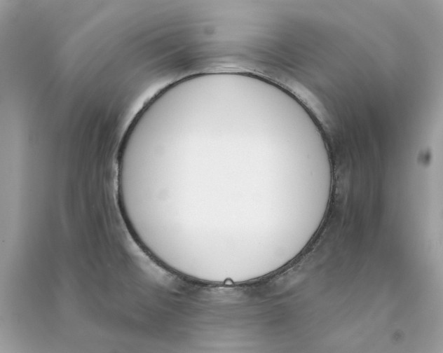 X0000090741476200708101651