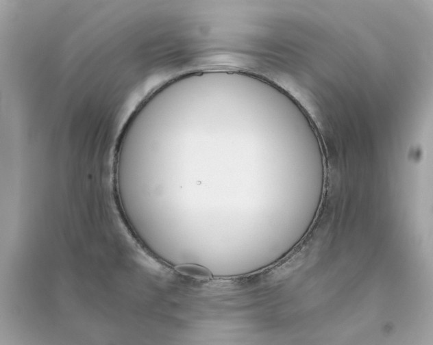 X0000090741477200708101651