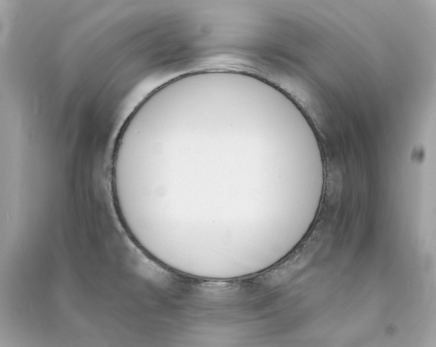 X0000090741478200708101651