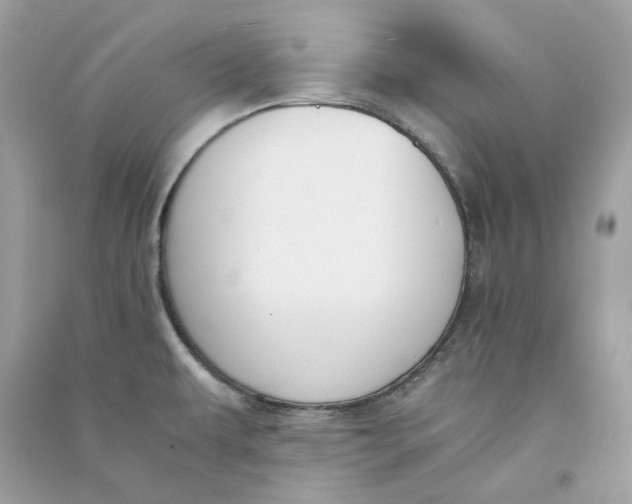 X0000090741479200708101651