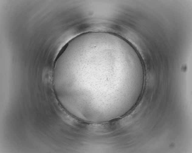 X0000090741481200708101651