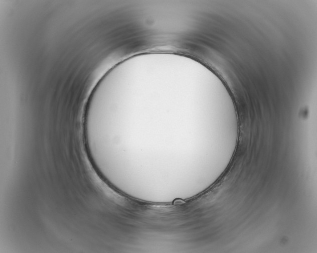 X0000090741483200708101651