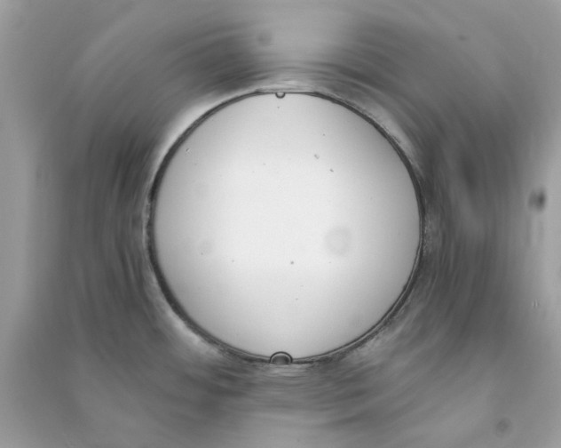 X0000090741484200708101651