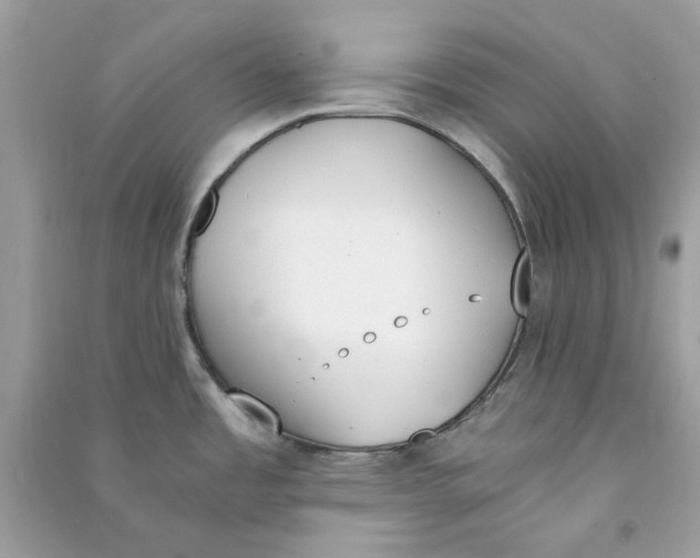 X0000090741485200708101651