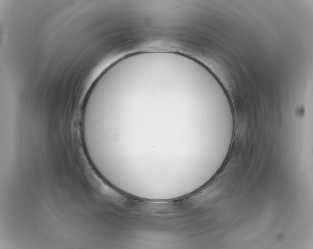 X0000090741486200708101651