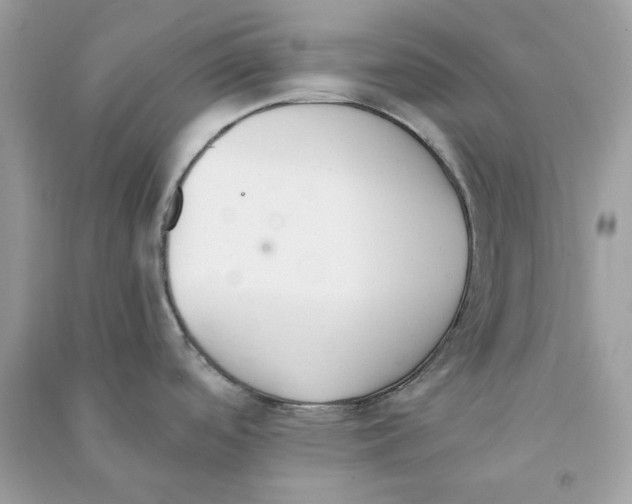 X0000090741488200708101651