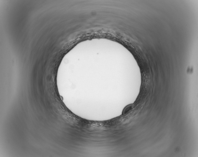 X0000090741489200708101650