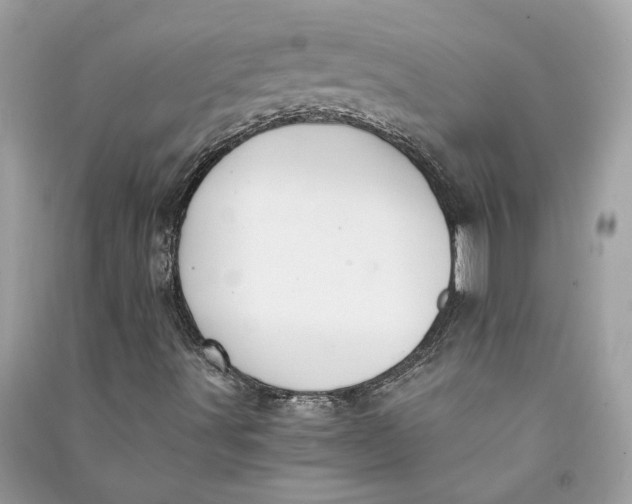 X0000090741491200708101650