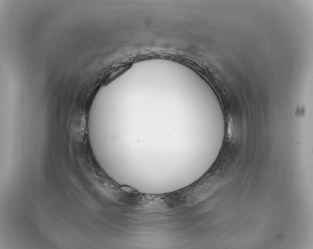 X0000090741492200708101650