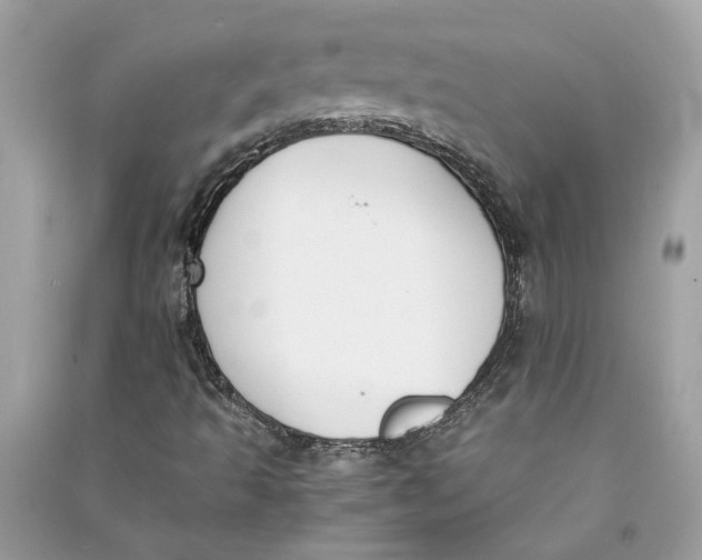 X0000090741493200708101650