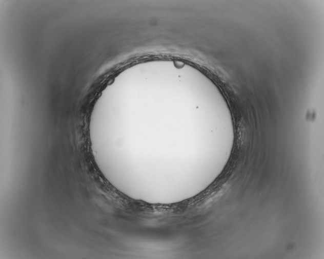 X0000090741494200708101650