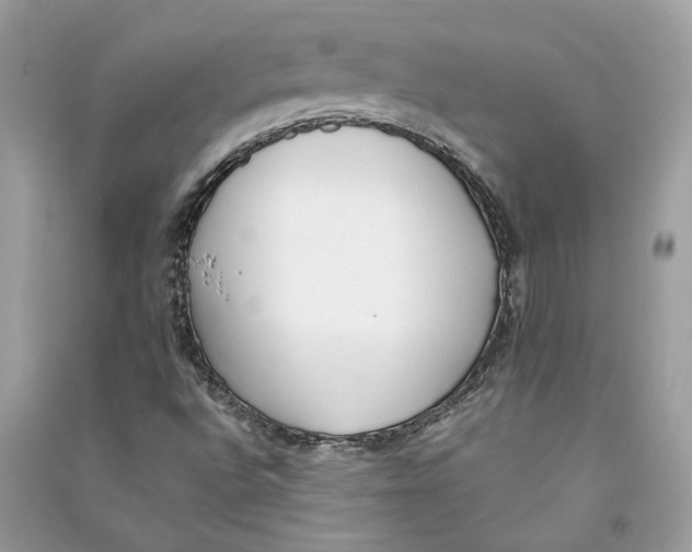 X0000090741496200708101650