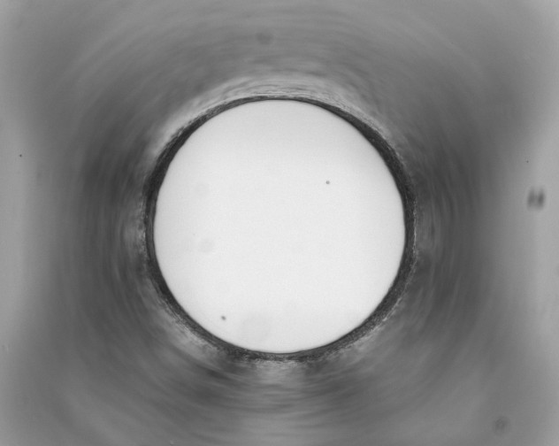 X0000090741498200708101650