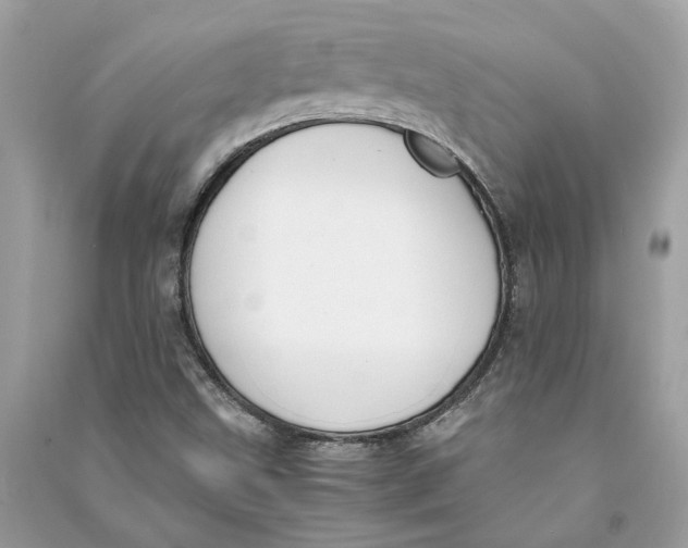 X0000090741499200708101650