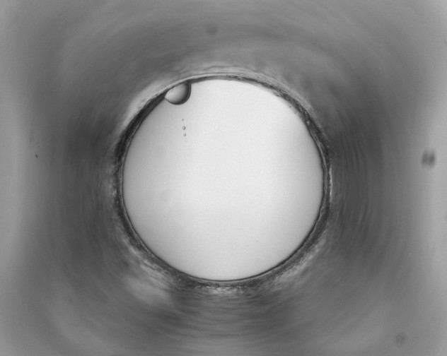 X0000090741501200708101650