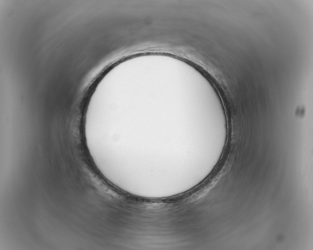 X0000090741502200708101650