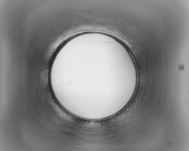 X0000090741503200708101650