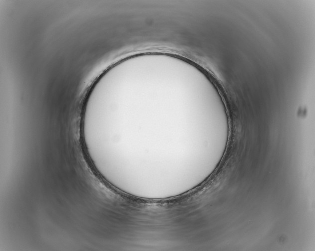 X0000090741504200708101650