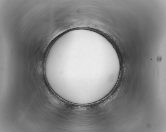 X0000090741505200708101650