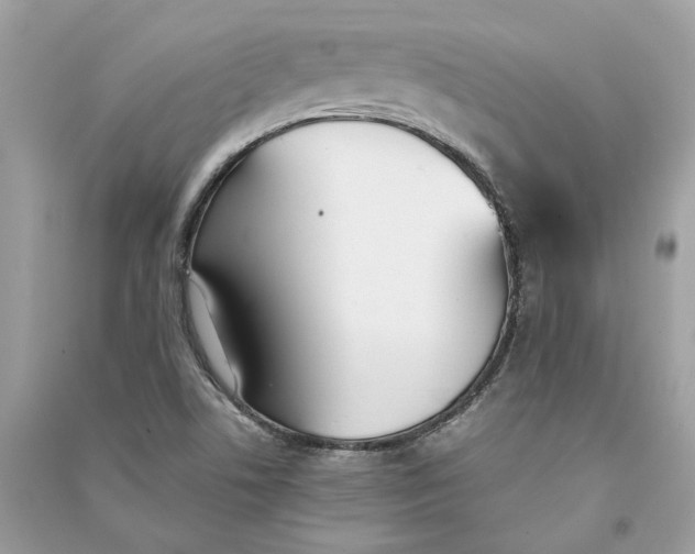 X0000090741506200708101650