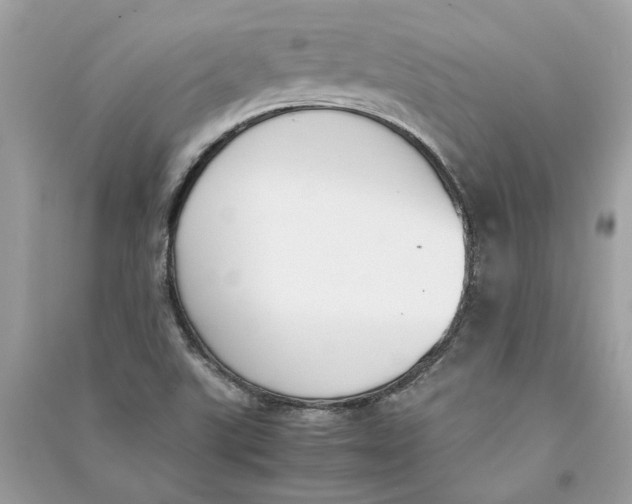 X0000090741507200708101650