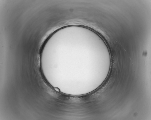 X0000090741509200708101650