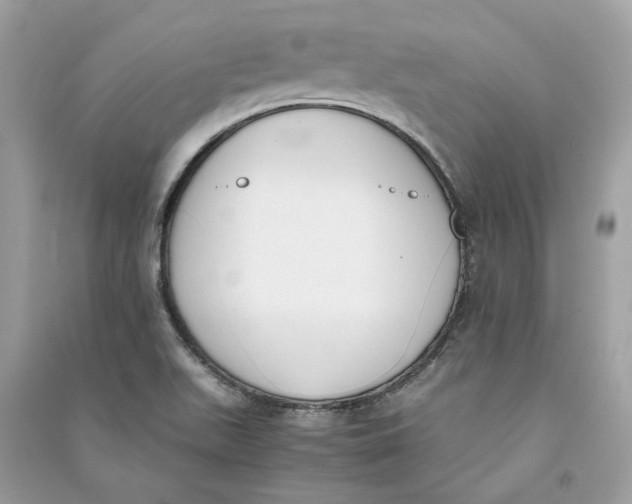 X0000090741511200708101651