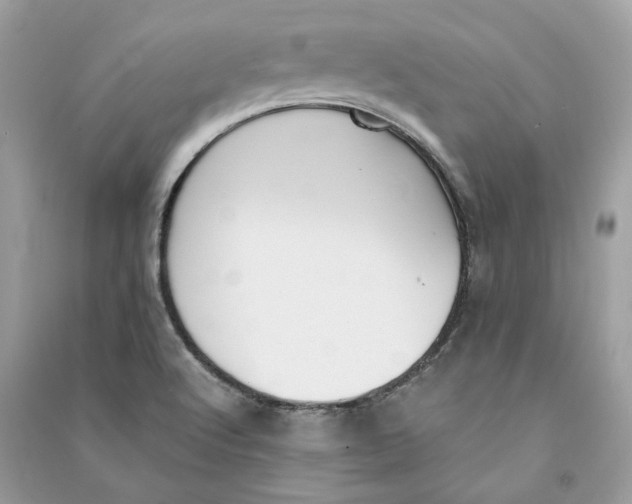 X0000090741512200708101651