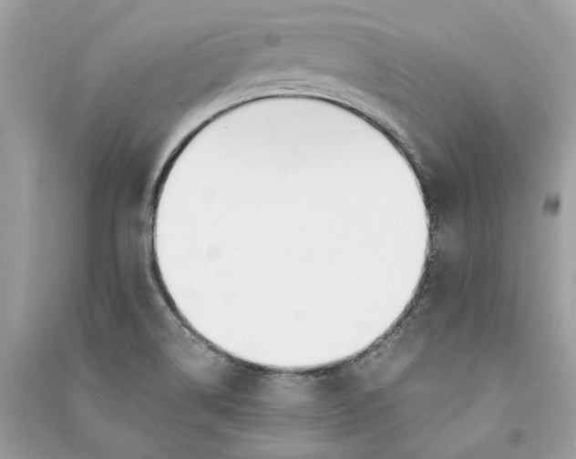 X0000090741514200708101651