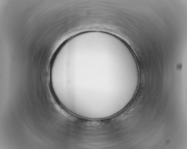 X0000090741515200708101651