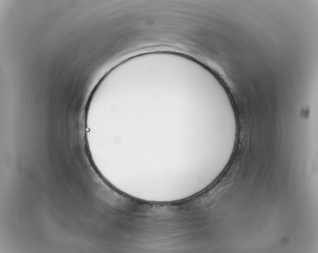 X0000090741516200708101651