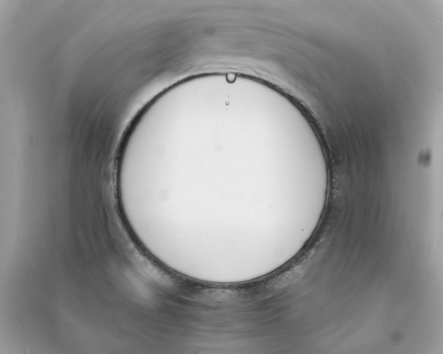 X0000090741517200708101651