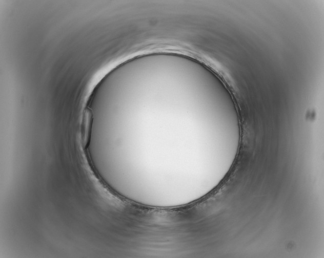 X0000090741520200708101651