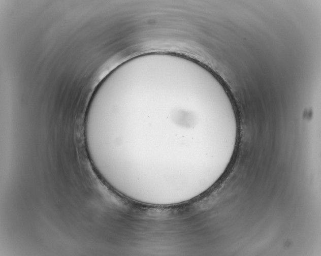 X0000090741521200708101651