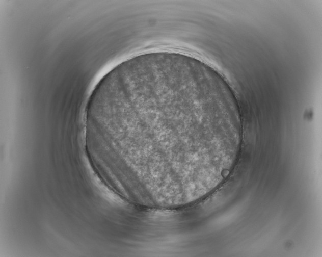 X0000090741522200708101651