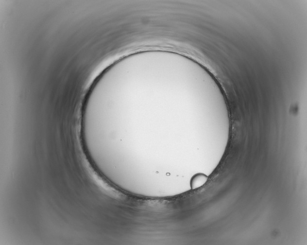 X0000090741523200708101651