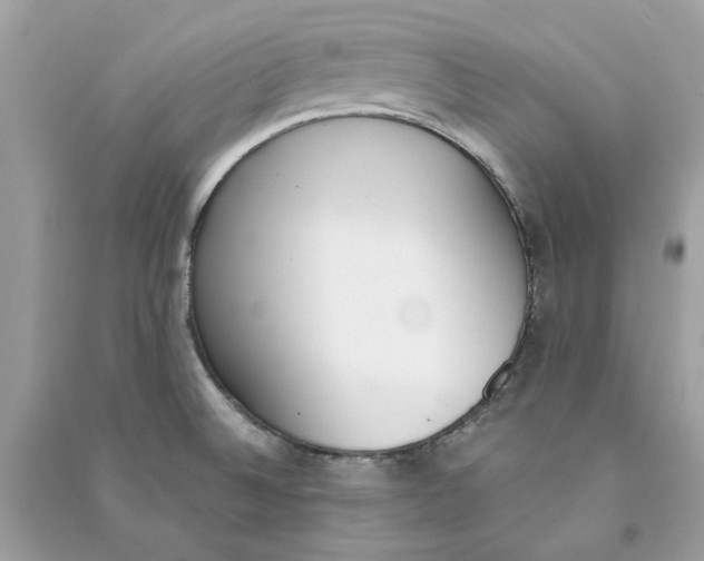 X0000090741524200708101651