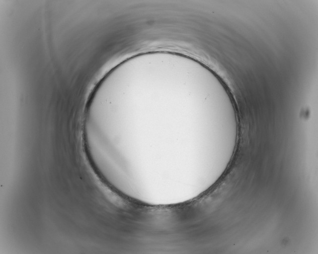 X0000090741525200708101651