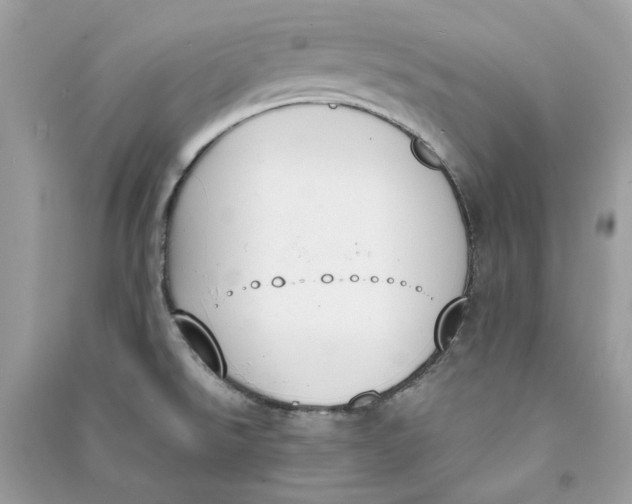 X0000090741526200708101651