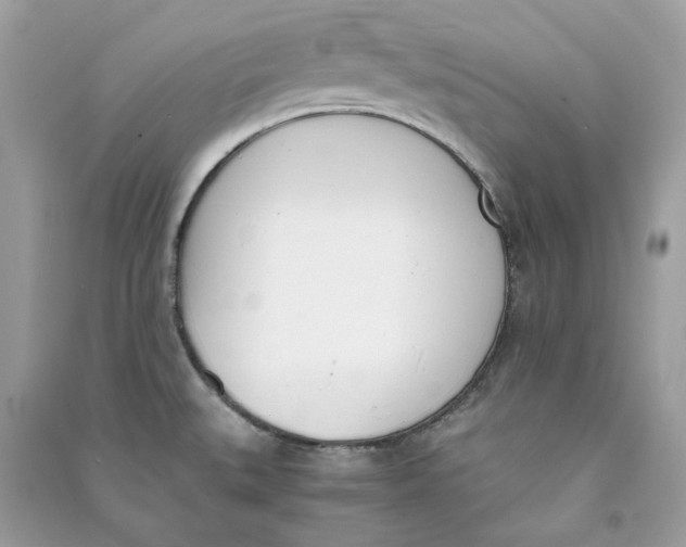 X0000090741527200708101651